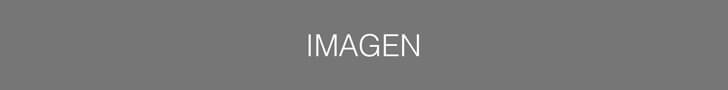 banner-1